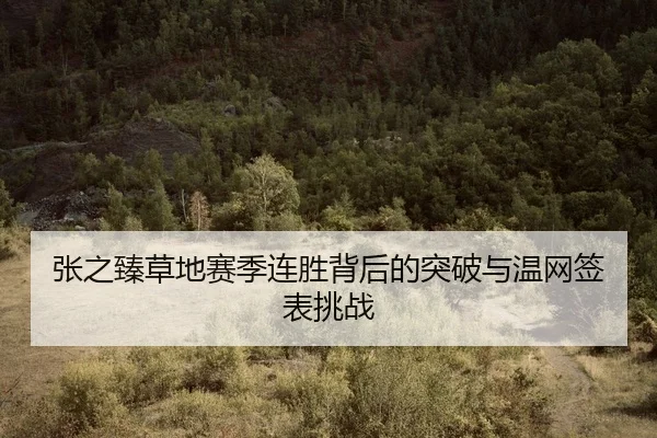 张之臻草地赛季连胜背后的突破与温网签表挑战