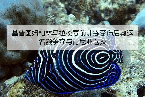 ji-pu-tu-mu-bo-lin-ma-la-song-sai-qian-xun-lian-shou-shang-hou-ao-yun-ming-e-zheng-duo-yu-ken-ni-ya-xuan-ba-3-939.jpg