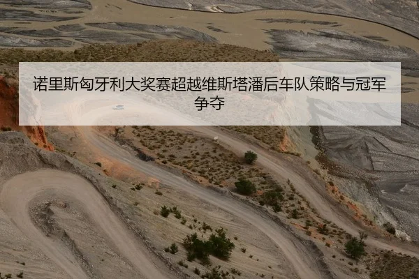 诺里斯匈牙利大奖赛超越维斯塔潘后车队策略与冠军争夺