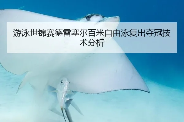 游泳世锦赛德雷塞尔百米自由泳复出夺冠技术分析